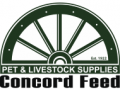 Concord-Feed1